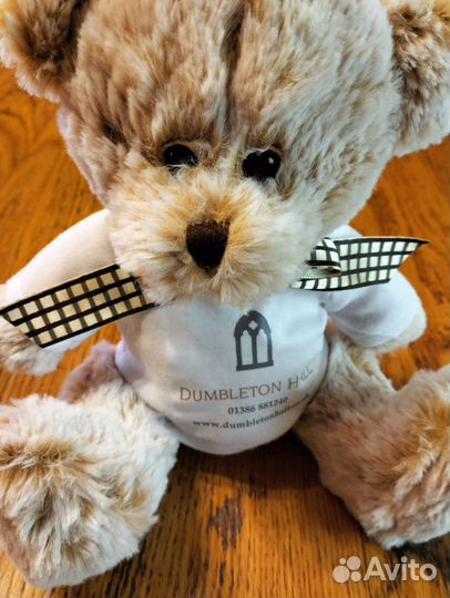 Мишка Тедди 