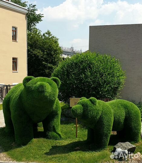 Топиарные фигуры. Топиарная композиция 