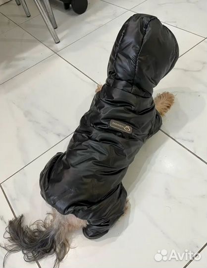 Комбинезон для собак