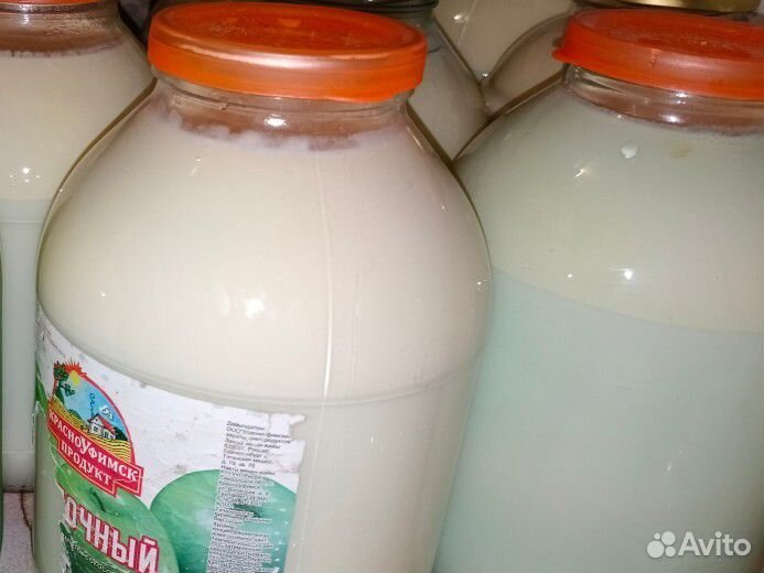 Молочные продукты, яйцо куриное