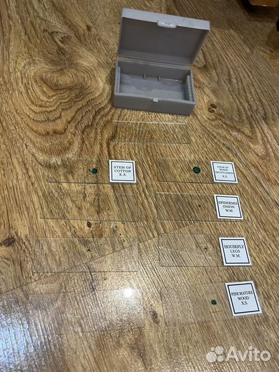 Микроскоп levenhuk