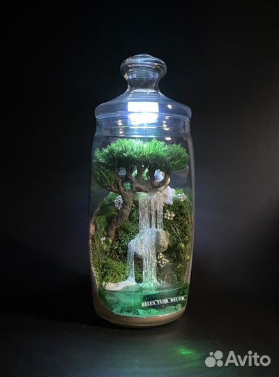 Флорариум - ночник