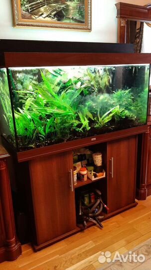 Аквариум