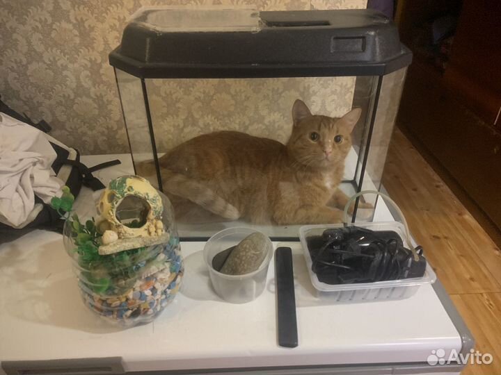 Аквариум, дикорации и фильтр