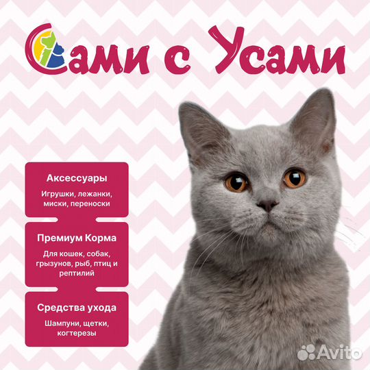 Royal canin Gastrointestinal Kitten Корм сух.диет