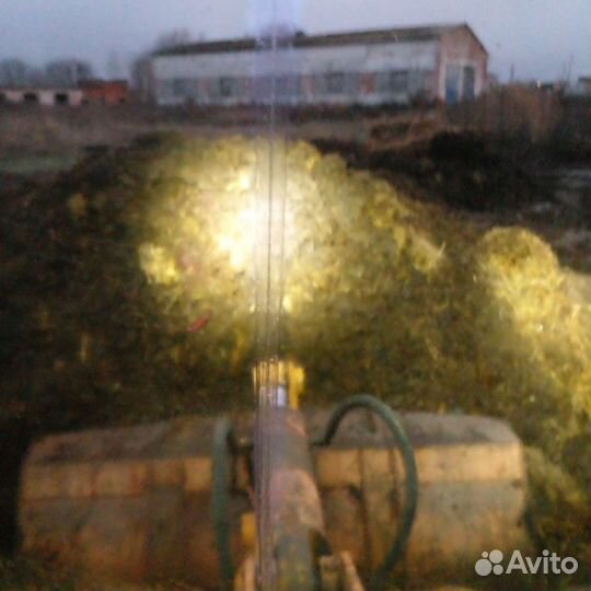 Коровяк для огорода