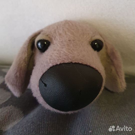 Щенки и журналы 