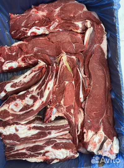 Курица Питерская, набор куриный