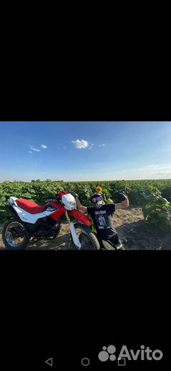 Ттр 250 р