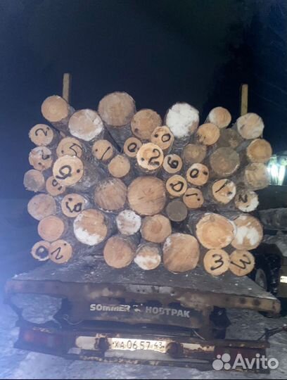 Лес кругляк