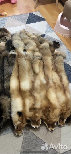 Шкурки лисицы