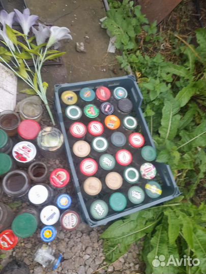 Банка0,2л.и0,180л 0,5л 0,65л