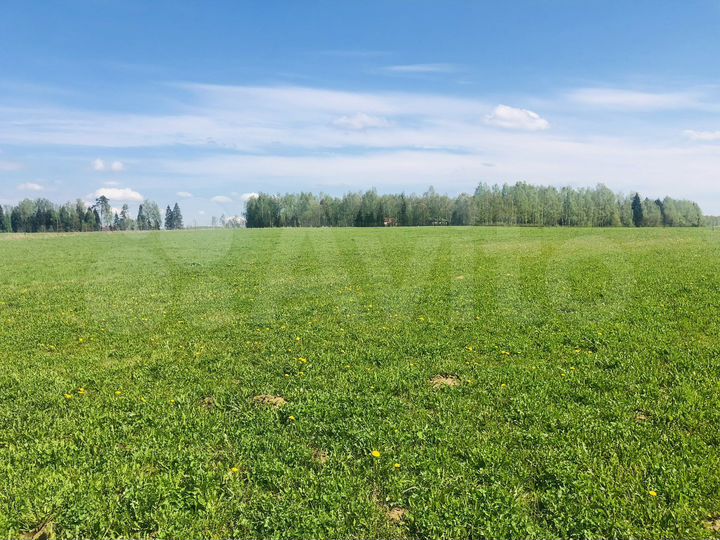 Участок 2,5 га (СНТ, ДНП)