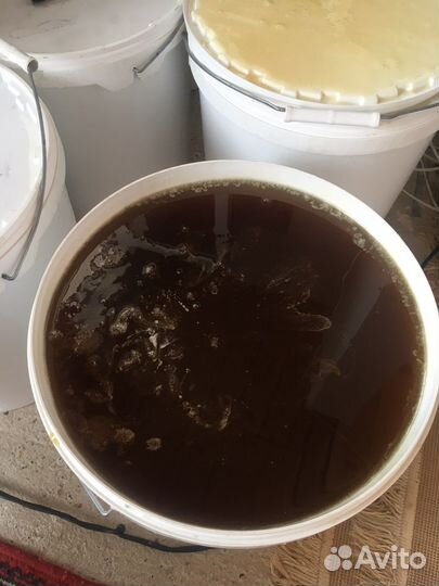 Мед горный натуральный 2023