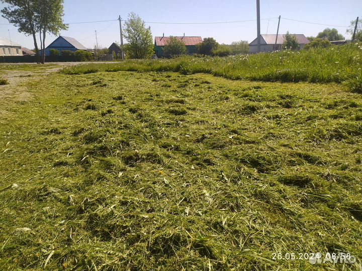 Покос травы триммером