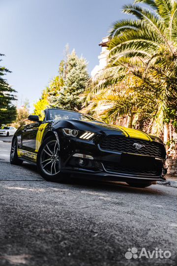 Аренда прокат авто Ford Mustang 2017 черно-желтый