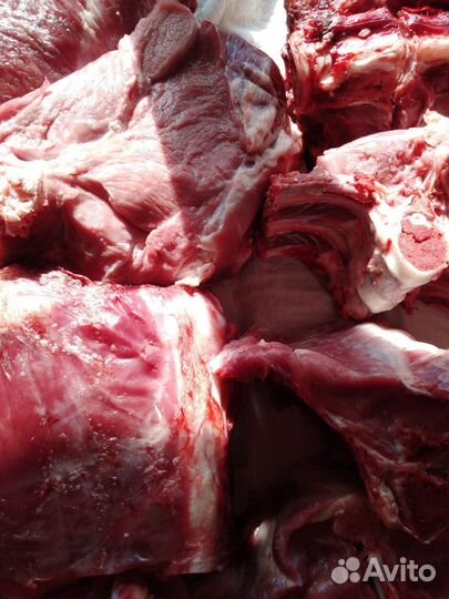 Мясо телятина