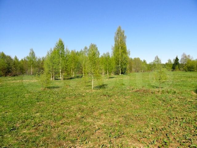 Участок 23 сот. (ИЖС)