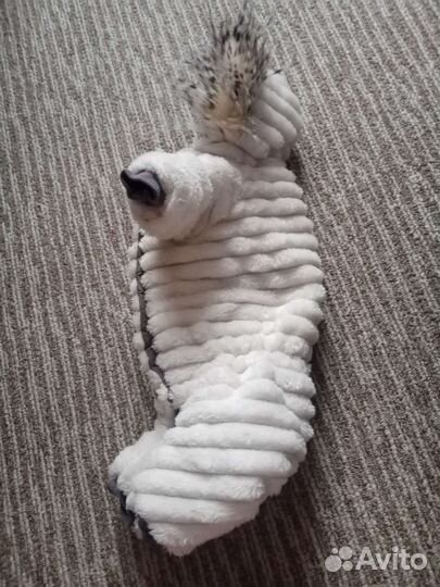 Одежда для собак