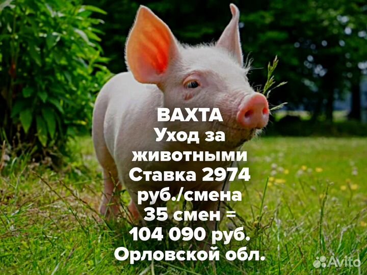 Вахта разнорабочий на ферму в Орловской обл