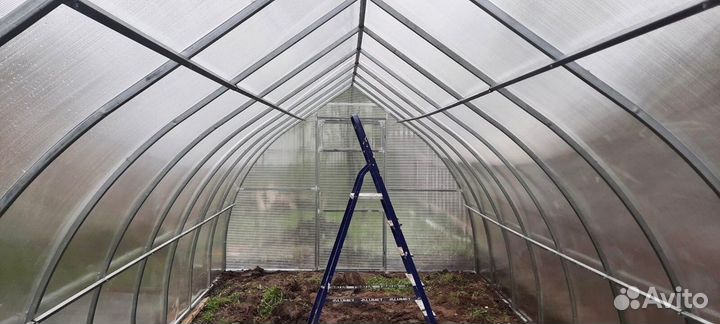 Теплица капелька