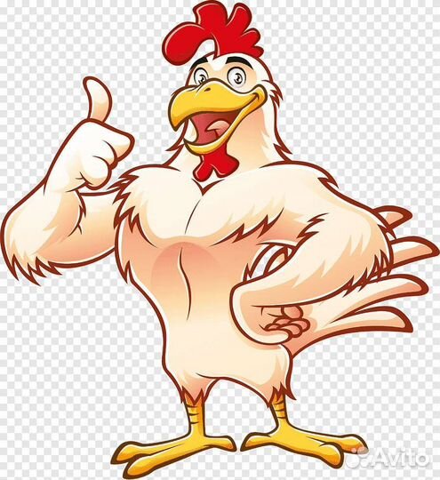 Домашние куриные яйца