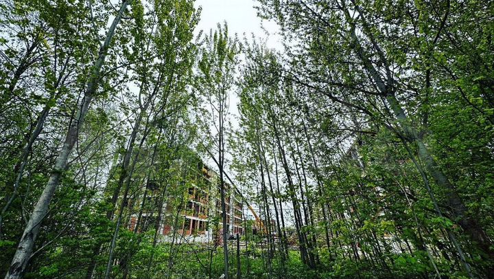 1-к. квартира, 34,6 м², 4/5 эт.