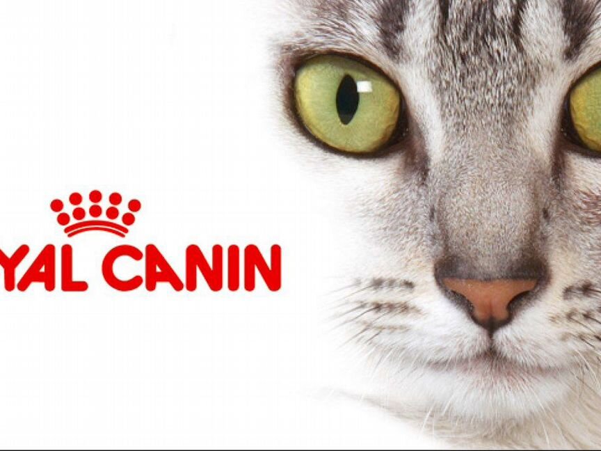 Корм Royal Canin для кошек и котят