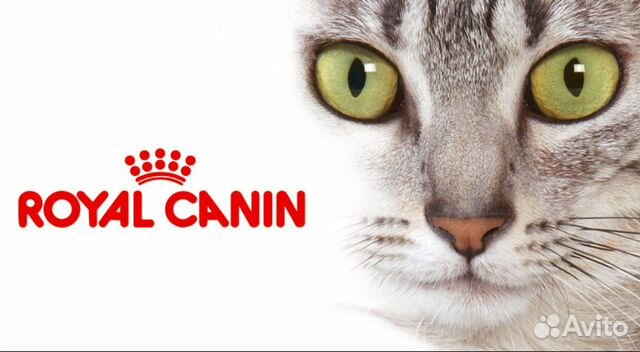 Корм Royal Canin для кошек и котят
