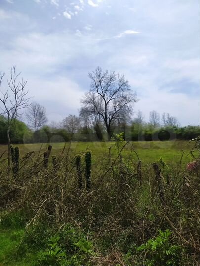 Участок (Абхазия)