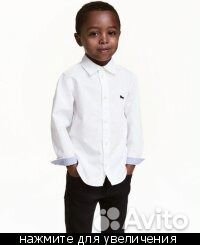 Новая рубашка нм