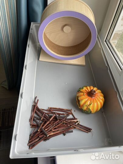 Клетка для хомяка с аксессуарами