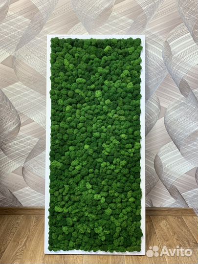 Картины со стабилизированным мхом