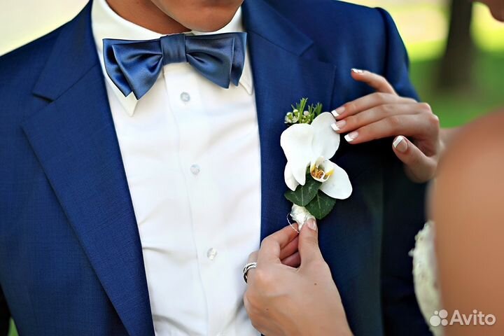 Бабочка синяя