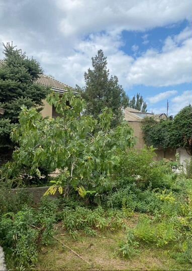 Участок 3,4 сот. (ИЖС)