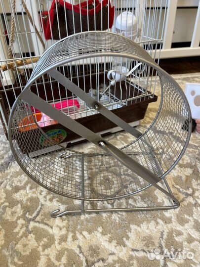 Колесо для Сирийского хомяка