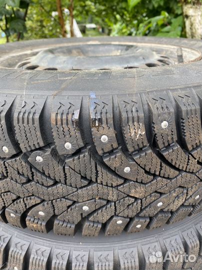 Formula Ice 195/65 R15