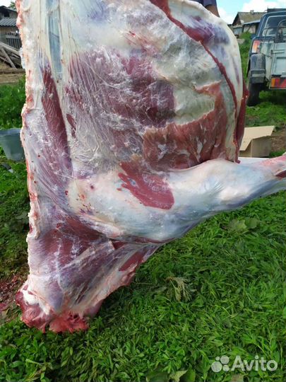 Мясо говядины молодняк деревенское