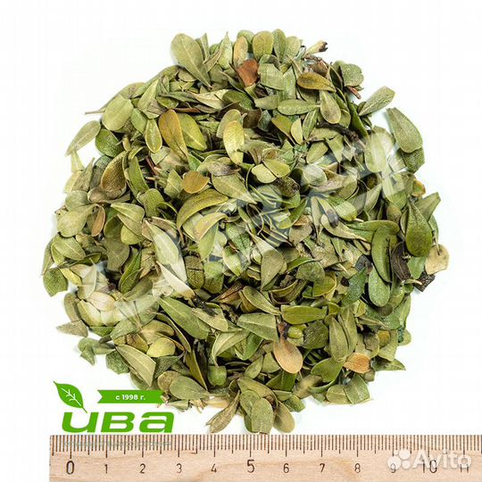 Толокнянка лист цельный оптом