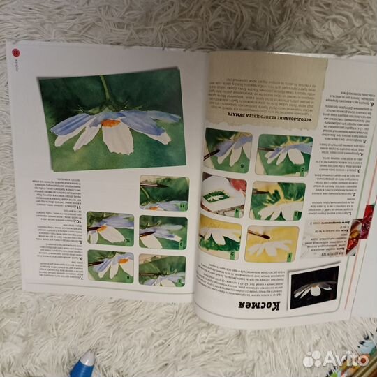 Книга Рисование акварелью