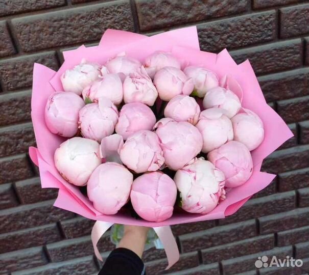 Пионы голландский