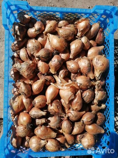 Продукты питания