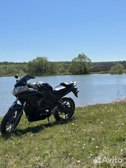 Raser skyway 250