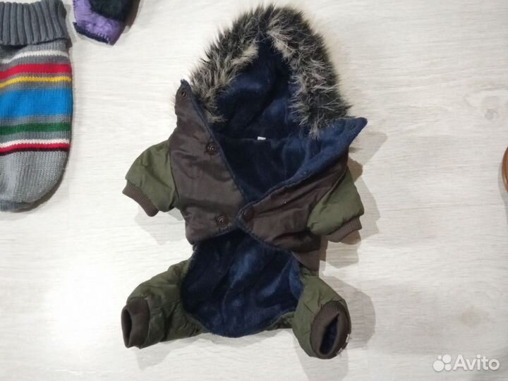 Одежда для маленьких собак