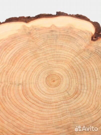 Спилы можжевельника любой размер, под заказ