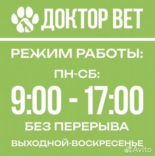 Ветеринарный врач