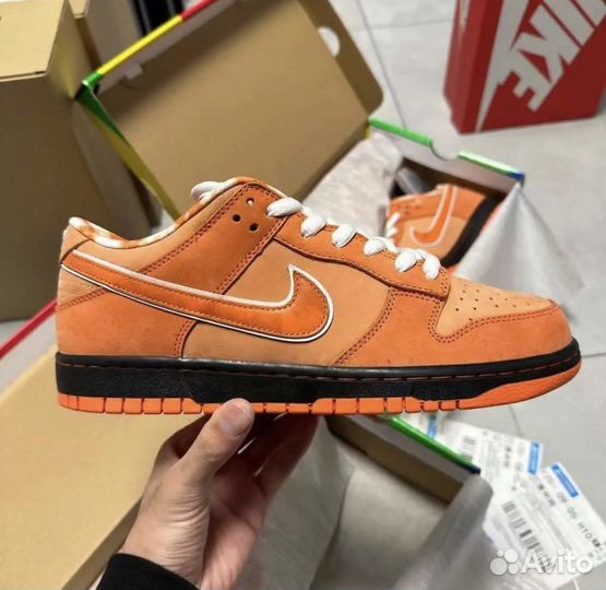 Nike x Concepts SB Dunk Low Orange Lobster