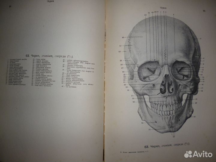 2 книги - Атлас анатомии человека (изд. 40-е годы)