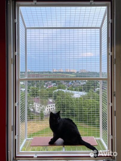 Вольер на окно для кошек