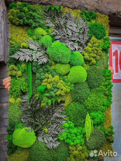 Панно из мха фитостена вертикальное озеленение